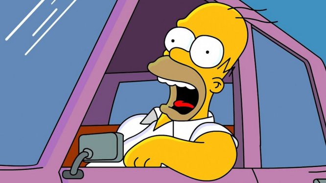 homer simpson